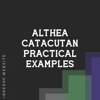 Althea Catacutan Practical Examples | Indexof