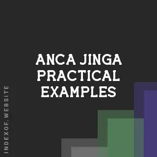 Anca Jinga Practical Examples | Indexof