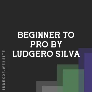 Beginner to Pro by Ludgero Silva | Indexof