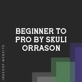 Beginner to Pro by Skuli Orrason | Indexof