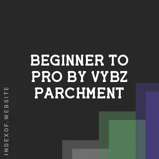 Beginner to Pro by Vybz Parchment | Indexof