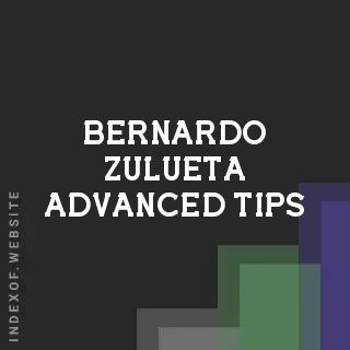 Bernardo Zulueta Advanced Tips | Indexof