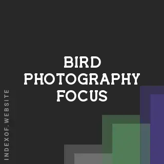 Bird Photography Focus: Why Only One Bird is Sharp and Others are Blurry - Indexof