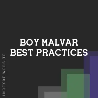 Boy Malvar Best Practices | Indexof