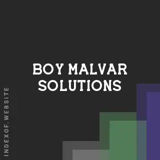 Boy Malvar Solutions | Indexof