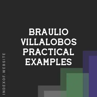 Braulio Villalobos Practical Examples | Indexof