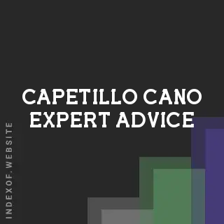 Capetillo Cano Expert Advice | Indexof