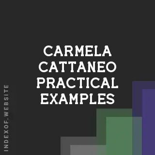 Carmela Cattaneo Practical Examples | Indexof