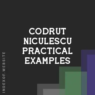Codrut Niculescu Practical Examples | Indexof