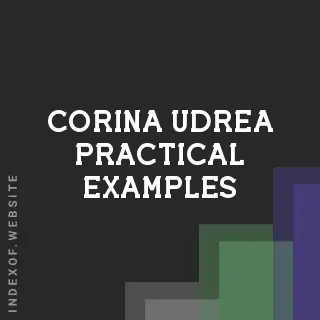 Corina Udrea Practical Examples | Indexof
