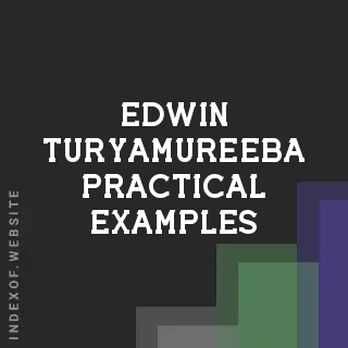 Edwin Turyamureeba Practical Examples | Indexof