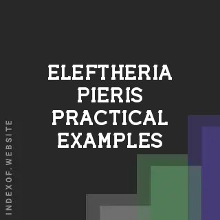 Eleftheria Pieris Practical Examples | Indexof