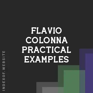 Flavio Colonna Practical Examples | Indexof