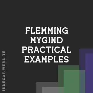 Flemming Mygind Practical Examples | Indexof