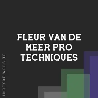 Fleur van de Meer Pro Techniques | Indexof