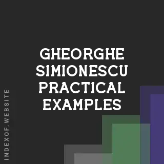 Gheorghe Simionescu Practical Examples | Indexof