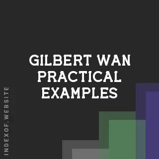 Gilbert Wan Practical Examples | Indexof