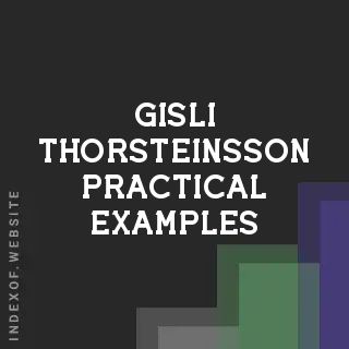 Gisli Thorsteinsson Practical Examples | Indexof
