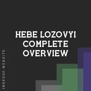 Hebe Lozovyi Complete Overview | Indexof