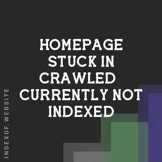 Homepage Stuck in "Crawled - currently not indexed" After Canonical Fix