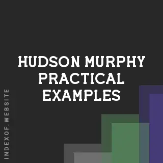 Hudson Murphy Practical Examples | Indexof