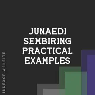 Junaedi Sembiring Practical Examples | Indexof