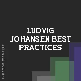 Ludvig Johansen Best Practices | Indexof