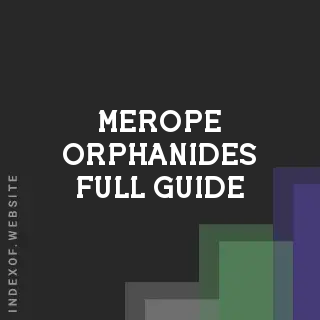 Merope Orphanides Full Guide | Indexof