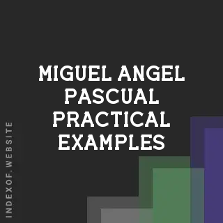 Miguel Angel Pascual Practical Examples | Indexof