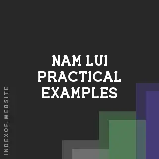 Nam Lui Practical Examples | Indexof