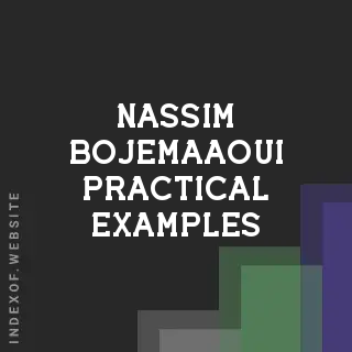 Nassim Bojemaaoui Practical Examples | Indexof