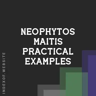 Neophytos Maitis Practical Examples | Indexof