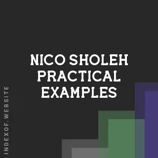 Nico Sholeh Practical Examples | Indexof