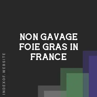 Non-Gavage Foie Gras in France: Availability and Labeling Guide - Indexof