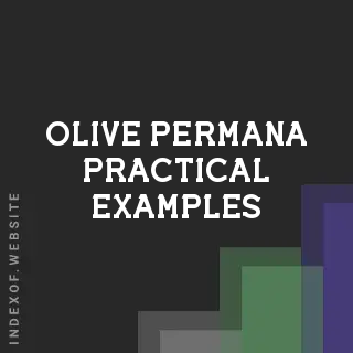 Olive Permana Practical Examples | Indexof