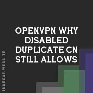 OpenVPN: Why Disabled 'duplicate-cn' Still Allows Multiple Connections