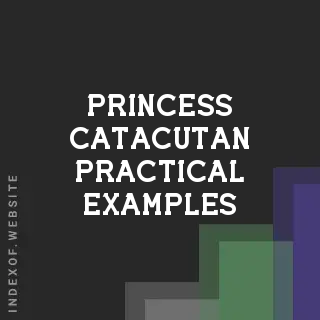 Princess Catacutan Practical Examples | Indexof