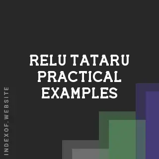 Relu Tataru Practical Examples | Indexof