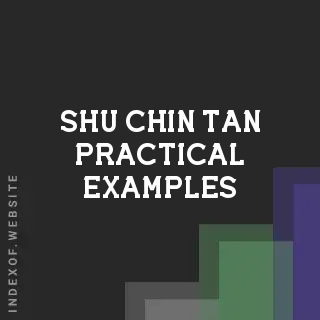 Shu-chin Tan Practical Examples | Indexof