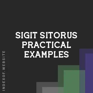 Sigit Sitorus Practical Examples | Indexof