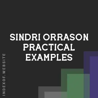 Sindri Orrason Practical Examples | Indexof