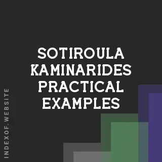 Sotiroula Kaminarides Practical Examples | Indexof