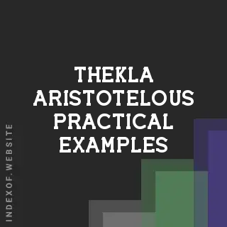 Thekla Aristotelous Practical Examples | Indexof