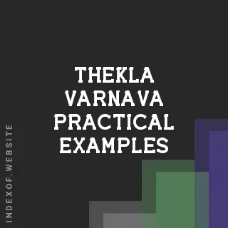 Thekla Varnava Practical Examples | Indexof