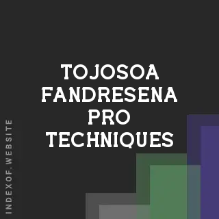 Tojosoa Fandresena Pro Techniques | Indexof