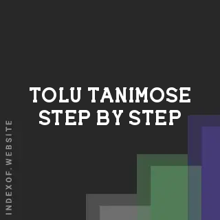 Tolu Tanimose Step-by-Step | Indexof