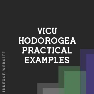 Vicu Hodorogea Practical Examples | Indexof