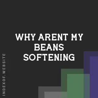 Why Aren't My Beans Softening? Troubleshooting Slow Cooker Legumes