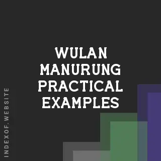 Wulan Manurung Practical Examples | Indexof