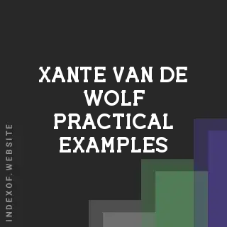 Xante van de Wolf Practical Examples | Indexof